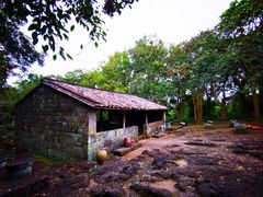 -海口火山口国家地质公园