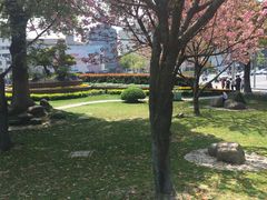 景点-七宝老街-闵行市民文化广场