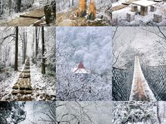 -莫干山风景区
