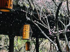 -成都杜甫草堂博物馆
