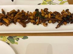 XO酱爆珍菌-青梅酒肆PLUS(长白仙岛北路店)