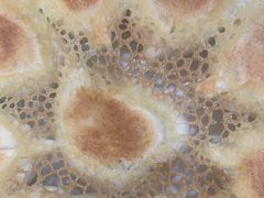 -良友·海鲜青岛菜(五四广场店)