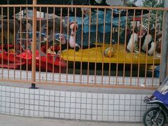 -解放人民公园