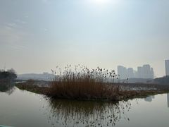 -月湖风景区