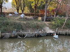 -无锡动物园·太湖欢乐园