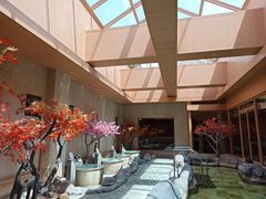 -蓝鲸湾汤泉(包河店)