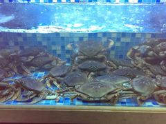 android_upload_pic-渔家海鲜舫(宝湖路店)