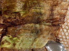 -翠亭酒家(山西南路店)