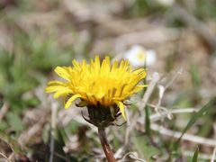 -叠溪松坪沟景区