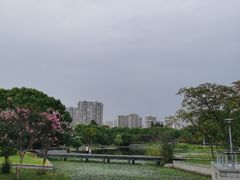 -蠡湖大桥公园