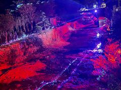 -花溪风景区
