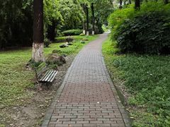-温江公园