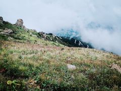 -白草畔自然风景区