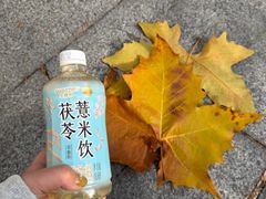 -81BAKERY(大学路店)