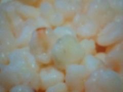 -和记小菜(大宁店)