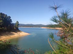 -广州市流溪河国家森林公园