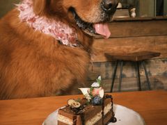 -六区宿舍咖啡店