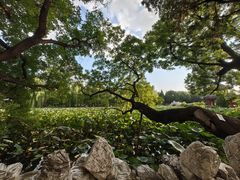 -莲池书院博物馆