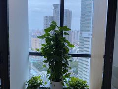 -新东方国际教育·雅思托福(裕德路校区)