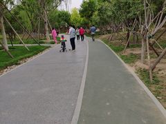 -回龙观体育文化公园