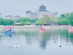 -莲花池公园