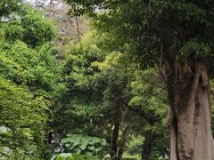 -荔香公园