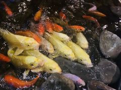 -山有花啡餐厅(常营总店)