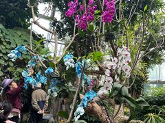 -北京植物园-展览温室