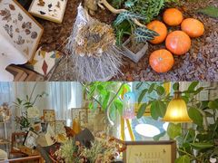 -知物癖(牛王庙店)