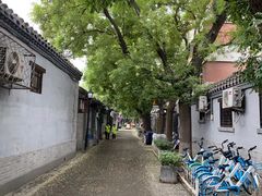 -锅儿挑面馆