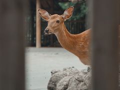 -金沙遗址博物馆