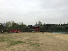 -秀丽东方