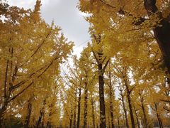 -百林公园-两江幸福广场