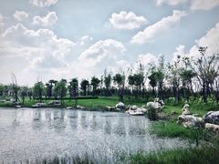 -春花秋色城市公园