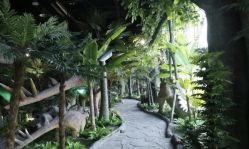 -恐龙探索乐园(磁器口店)