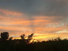 -TIPPI营地 房车主题·露营烧烤团建轰趴(天安假日店)