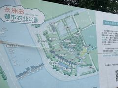 -长洲岛都市农业公园