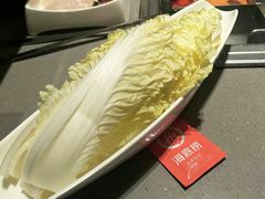 -海底捞火锅(方塔东街店)