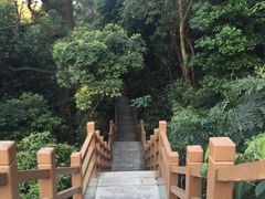 -广州市帽峰山景区