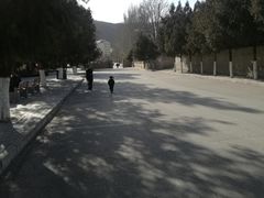 -延安杨家岭革命旧址