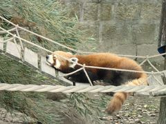 -上海野生动物园