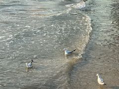 -海云台海滩