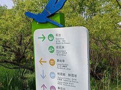 -西湖风景区-江洋畈生态公园