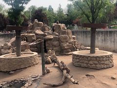 -西安秦岭野生动物园