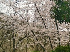 -南京市江宁方山
