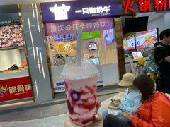-一只酸奶牛(八一路店)