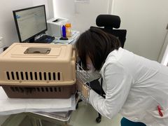 -北京恒爱动物医院(清景园分院)