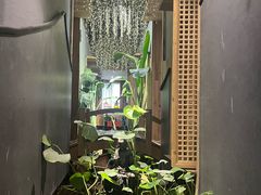 -邈墨茶馆(凤起路店)