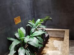 -大鸭梨烤鸭(顺义石园店)