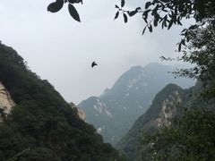 -九龙潭景区